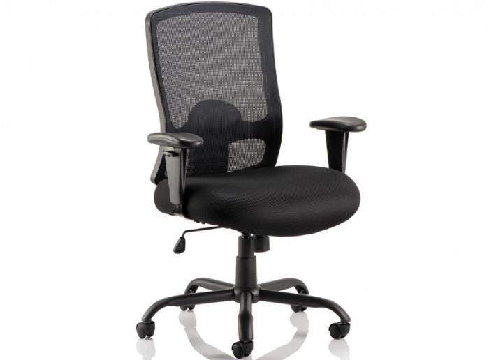 Ashvale Preesall Plus Mesh Back Office Chair